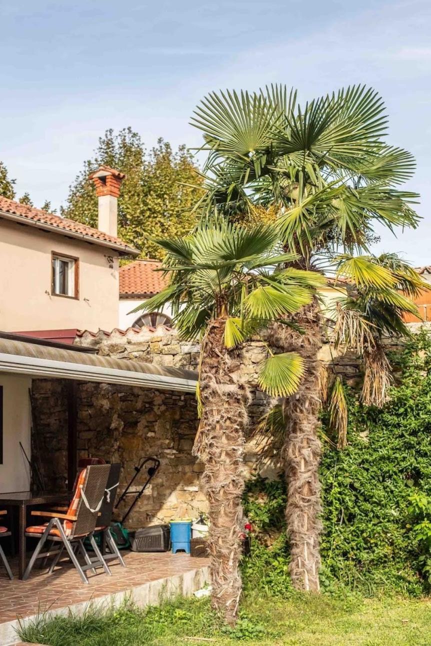 Cozy Corner Apartamento Koper Exterior foto